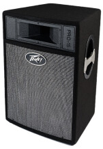 Peavey Pro 15