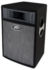 Peavey Pro 15
