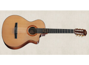 Taylor  Jason Mraz Signature Model