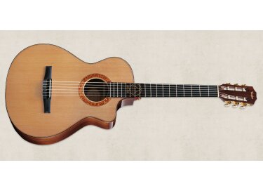Taylor Jason Mraz Signature Model