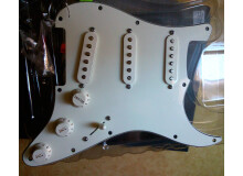 Fender Loaded Pickguard