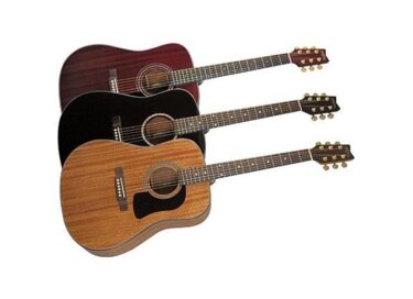 Washburn D100