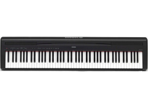 Yamaha P-95