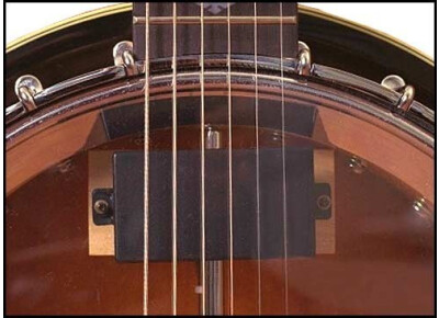 Gold Tone SMP Sliding Mag Pick-up