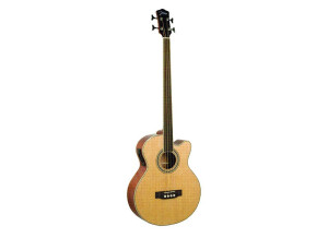 Johnson Guitars JB-24