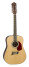 Michael Kelly Guitars Nostalgia Series