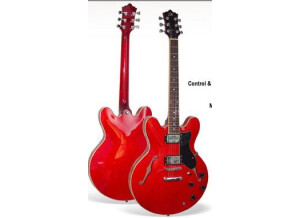 Sx Guitars GG5 / CUS