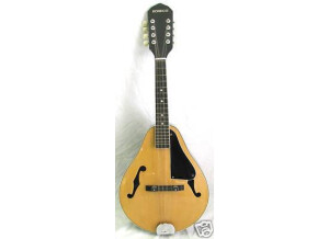 Hondo HM6N Mandolin