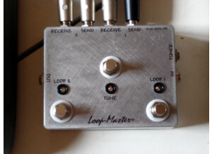 Loop Master Loop 2 switchs + tuner out + led