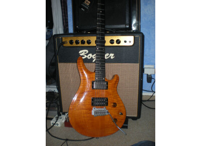 Patrick Eggle Guitars Classic Berlin Pro 24