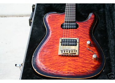 Godin Artisan TC Signature Humbuckers