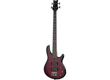Schecter Raiden Special-4