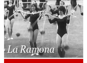 Detunized DTS011 - La Ramona Synthesizers