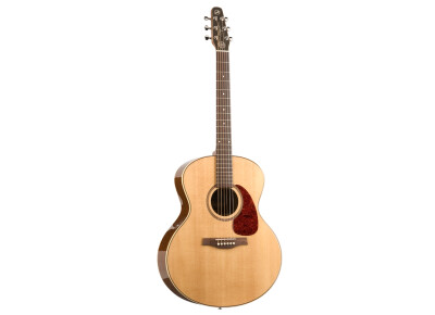 Seagull Maritime SWS Mini Jumbo HG