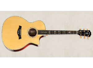 Taylor  Dave Matthews Signature Model DMSM