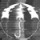 Umbrella Seeds Umbrella Seeds