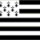 Arsouille d'Armor Arsouille d'Armor