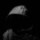 -Shadow- -Shadow-