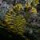 blob720 blob720