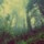 Music from the woods Music from the woods