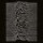 Type_23 Type_23