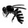 abeille noire abeille noire