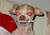 chucky o soleil chucky o soleil