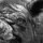 hieronyme hieronyme