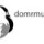 domrmusique domrmusique