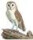 lecriduhibou lecriduhibou