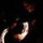 Flo-23- Flo-23-