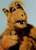 alf79 alf79