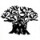 Matthieu 979 Matthieu 979