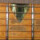 samspeed2006 samspeed2006