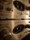 processus23 processus23