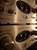 processus23 processus23