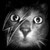Marc__FERRE Marc__FERRE