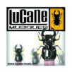 Lucane-musiques