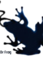Logo Dr Frog