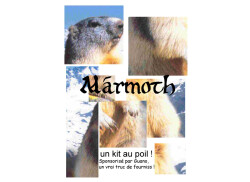 Offrez-vous un kit Marmoth !