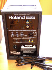 Moniteur Roland DS30A