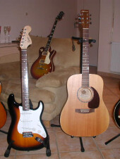 Mes Guitares