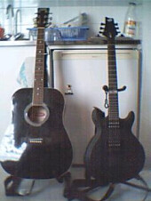 Rolande et Ginger, mes 2 guitares