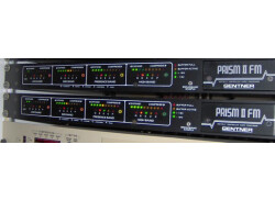 Gentner Prism FM II - Compresseur/expanseur 4 bandes 