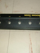 Tech 21 Midi Moose