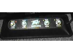 Peavey Duel 212 (remote switch)