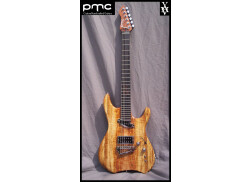 PMC Guitares XAV