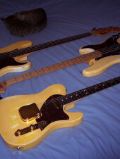 Fender : Precision 67, Précision 74 (mapple neck) et Telecaster US 95 refinished hep cat pick ups