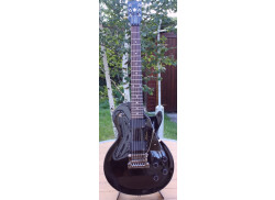 Gibson LesPaul The Paul II Black Customisée