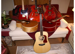 La petite famille, Washburn D82SW, Guild JF30, Gibson EC30 BKE, Fender Tele Custom Jerry Donahue, Gibson Chet Atkins Tennessean, Guild Bluesbird